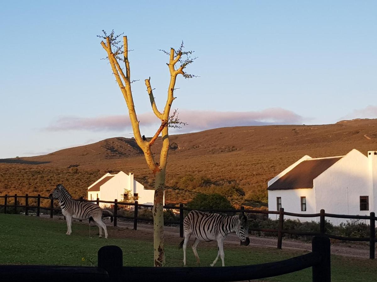African Game Lodge Montagu Exterior foto